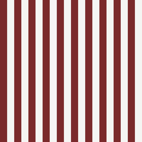 Carta RIGHE Stripes 15048